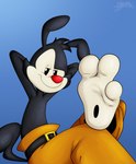 3_toes animaniacs belt benjipaws bottomwear clothing feet foot_focus hi_res inkblot looking_at_viewer male mammal pants red_nose soles solo toes warner_brothers yakko_warner