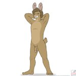 anthro barefoot brown_body brown_fur brown_hair circumcised feet flaccid fur genitals grin hair hands_behind_head humanoid_feet male nude nudist penis plantigrade smile smirk solo text sammfeatblueheart tyler_(ccwoah) hare lagomorph leporid mammal rabbit 1:1 hi_res url