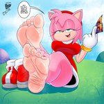 anthro barefoot boots clothed clothing colored_nails feet female foot_focus footwear humanoid_feet nails plantigrade red_nails red_toenails shoes shoes_removed solo toenails toes wrinkled_feet wrinkles maximus21 sega sonic_the_hedgehog_(series) amy_rose eulipotyphlan hedgehog mammal 1:1 hi_res