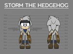 absurd_res anthro bandage blue_eyes boots clothing english_text eulipotyphlan eyewear fan_character footwear goggles grey_body hedgehog hi_res looking_at_viewer male mammal realdash satchel sega shoes simple_background slicked_back_hair smile solo sonic_the_hedgehog_(series) standing storm_the_hedgehog_(realdash) tail tan_arms text