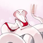 anthro breasts clothing female looking_at_viewer non-mammal_breasts red_eyes solo sweater topwear virgin_killer_sweater white_snake kurocchi131 meme_clothing reptile scalie snake hi_res meme