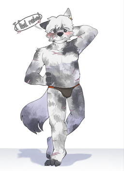 adrio anthro blush bulge clothed clothing facial_scar male partially_clothed scar scars_all_over shirrowo shy solo speedo swimwear canid canine canis domestic_dog herding_dog hungarian_mudi mammal pastoral_dog sheepdog hi_res