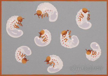 ambiguous_gender antennae_(anatomy) border feral glistening glistening_body grey_background group mandibles multi_limb orange_border orange_head simple_background toony white_body cuttledreams arthropod grub_(insect) insect larva digital_drawing_(artwork) digital_media_(artwork) watermark