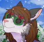 anthro brown_hair eyewear fur glasses grey_body grey_fur hair male solo deanwolfwood sydrian_claude domestic_cat felid feline felis mammal digital_media_(artwork)