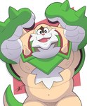 anthro biceps big_muscles hair_chest happy huge_muscles looking_at_viewer male muscular muscular_anthro muscular_male nipples pecs shell solo teeth hikazedragon nintendo pokemon chesnaught generation_6_pokemon pokemon_(species) hi_res