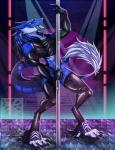 anthro armwear blue_body blue_fur clothed clothing dancing elbow_gloves fur genitals gloves handwear latex legwear looking_at_viewer male muscular muscular_anthro muscular_male penis pole pole_dancing solo stockings strip_club tail blackwolf275 disciplewinter sergal