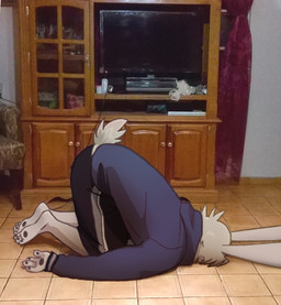 3_toes 4_fingers anthro ass_up black_bottomwear black_clothing black_pants black_pawpads blue_clothing blue_hoodie blue_topwear bottomwear clothing feet fingers fur hoodie male on_ground pants pawpads photo_background solo toes topwear white_body white_fur koiyaroid lagomorph leporid mammal rabbit mixed_media photography_(artwork)