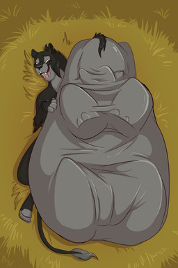 ambiguous_gender ambiguous_prey black_body black_fur black_nose body_outline countershade_face countershade_torso countershading day duo feet female female_pred feral feral_pred feral_prey fur grass grey_body grey_countershading grey_fur grey_markings imprint lying lying_on_ground markings multicolored_body multicolored_fur on_back on_ground open_mouth outside plant quadruped size_difference smaller_pred tail tail_tuft teeth toeless_(marking) tongue tongue_out tuft two_tone_body two_tone_fur unseen_prey vore fuf felid lion mammal pantherine 2018 2:3 hi_res