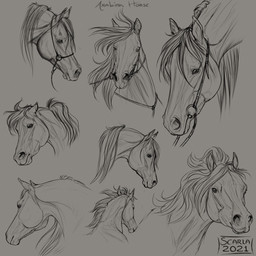 ambiguous_gender feral front_view mane mouth_closed side_view simple_background solo scarlanya equid equine horse mammal 1:1 2021 dated hi_res monochrome signature sketch_page