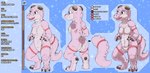 3_toes anthro arm_scar bald black_claws black_horn claws cut_horn digitigrade feet female front_view horn leg_scar married pink_body pink_eyes pink_scales rear_view scales scar scar_on_body scars_all_over short solo tail text toes kitsune_youkai bellissima kobold scalie english_text model_sheet