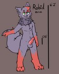 anthro balls big_tail blep blue_eyes chart fur genitals green_eyes height_chart male penis purple_body red_body red_fur solo tail tongue tongue_out yeenlust nintendo pokemon rabid_(zorua) generation_5_pokemon pokemon_(species) zorua absurd_res hi_res