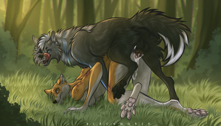 animal_genitalia animal_penis anthro anthro_on_feral anthro_penetrated balls bestiality bite_mark blood bodily_fluids canine_genitalia canine_penis cum cum_in_vagina cum_inside dominant dominant_feral dominant_male duo erection female female_penetrated feral feral_penetrating feral_penetrating_anthro forced from_behind_position genital_fluids genitals knot knotted_penis licking licking_lips male male/female male_penetrating male_penetrating_female mating_grip mounting penetration penile penile_penetration penis rape sex tongue tongue_out vaginal vaginal_penetration vulva canid canine canis domestic_dog mammal shiba_inu spitz wolf 2026 absurd_res hi_res huge_filesize