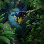 beak feathered_wings feathers feral forest forest_background hair looking_at_viewer male nature nature_background plant solo tree wings lemondeer mythology avian gryphon mythological_avian mythological_creature 1:1 digital_media_(artwork) hi_res