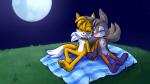 anthro barefoot blush brown_body brown_fur duo eyes_closed feet fur grass hand_holding happy male male/male moon night nude orange_body orange_fur outside pawpads paws plant romantic romantic_ambiance sitting smile white_body white_fur yellow_body yellow_fur electrisa sega sonic_the_hedgehog_(series) alvar_miles_udell miles_prower canid canine fox mammal 16:9 2019 signature widescreen