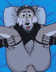 anthro bed bedroom blush bodily_fluids bulge compromising_position furniture male piercing solo spread_legs spreading sweat sweatdrop tongue tongue_out crunchybone epic_games fortnite wendell_(fortnite) canid canine canis mammal wolf absurd_res hi_res