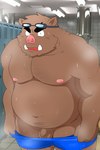 anthro balls belly big_belly bodily_fluids clothing genitals kemono locker_room male moobs navel nipples overweight overweight_male penis small_penis solo steam sweat underwear undressing shibatanukiti mammal suid suina sus_(pig) wild_boar 2024 censored hi_res