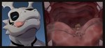 blonde_hair blush bodily_fluids duo erection fangs genitals grey_body grinding_on_tongue hair happy human_prey humping inside_mouth internal licking licking_lips macro male male/male markings micro mouth_closed nude oral oversized_oral penis penis_on_tongue saliva teeth throat tongue tongue_out vore suddendraft bandai_namco digimon mythology fan_character digimon_(species) dinosaur dragon guilmon human mammal mythological_creature mythological_scalie prehistoric_species reptile scalie absurd_res hi_res