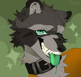 anthro black_collar blep clothing collar green_eyes green_tongue male one_eye_closed orange_clothing orange_shirt orange_topwear shirt solo tongue tongue_drip tongue_out topwear wink toasty_teddy victor_(mrmoopne) mammal procyonid raccoon absurd_res hi_res
