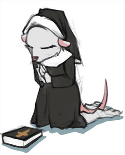 cross female nun solo marsminer mattea mammal mouse murid murine rodent