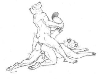all_fours anal anal_penetration anthro anthro_on_anthro balls balls_deep claws dipstick_tail duo erection eyes_closed from_behind_position genitals glans humanoid_genitalia humanoid_penis interspecies kneeling looking_pleasured male male/male male_penetrated male_penetrating male_penetrating_male markings multicolored_tail penetration penis sex short_tail straddling tail tail_grab tail_markings ebonytigress bear cougar felid feline mammal 2006 monochrome