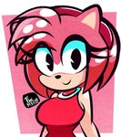 anthro black_eyes black_nose border clothing dress eyelashes female hair looking_at_viewer pink_background pink_hair red_clothing red_dress simple_background smile solo upper_body white_border diego_mejia sega sonic_the_hedgehog_(series) amy_rose eulipotyphlan hedgehog mammal artist_name