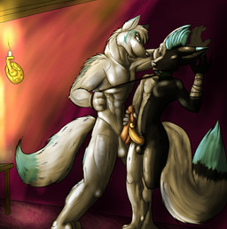 abs anthro athletic balls biceps blue_body blue_eyes blue_fur candle collar collar_only dominant dominant_male duo erection femboy frottage fur genitals glowing grey_body grey_fur handjob humanoid_genitalia humanoid_penis indoor_nudity indoor_sex inside leash leash_pull male male/male mohawk muscular nude pecs penile penis penises_touching sex standing submissive submissive_male tattoo makarimorph canid canine canis fox mammal wolf digital_media_(artwork) hi_res