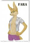 anthro breasts clothed clothing female navel open_clothing open_shirt open_topwear shirt solo text topwear chaotikat nintendo star_fox fara_phoenix canid canine fennec_fox fox mammal true_fox english_text