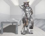 2015 5:4 after_transformation anthro blush brown_body brown_fur canid canine canis digitigrade doctor's_office door examination_table fur grey_body grey_fur inside lykanos male mammal metal_table nude patient sabretoothed_ermine solo standing wolf yellow_eyes