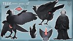 4_toes 5_fingers absurd_res anatomically_correct anatomically_correct_cloaca anatomically_correct_genitalia animal_genitalia anisodactyl anthro avian avian_butt avian_feet beak biped bird black_body black_feathers blue_eyes butt claws cloaca cloacal_penis corvid curved_penis digital_media_(artwork) english_text erection feathered_wings feathers feet feral finger_claws fingers fluffy genitals grey_body grey_feathers hi_res jackdaw looking_at_viewer looking_back male marul model_sheet multicolored_body multicolored_feathers nude open_mouth oscine passerine penis presenting presenting_cloaca presenting_hindquarters rear_view scuted_arms scuted_legs scutes simple_background solo standing tail tail_feathers talon_hands taloned_hands talons tapering_penis teek text toe_claws toes two_tone_body western_jackdaw winged_arms wings