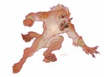 2022 4_fingers 4_toes anthro brown_body brown_fur caraid crotch_tuft digital_media_(artwork) feet fingers fur gnoll hyena male mammal open_mouth simple_background solo spotted_hyena teeth toes tongue tuft white_background