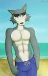abs anthro athletic athletic_anthro athletic_male beach blue_bottomwear blue_clothing blue_shorts bottomwear clothed clothing day eyewear eyewear_on_head fur grey_body grey_fur looking_at_viewer male navel pecs sand sea seaside shadow shorts smile solo standing sunglasses sunglasses_on_head swimming_trunks swimwear topless topless_anthro topless_male water white_body white_fur sandblastcoyote beastars legoshi_(beastars) canid canine canis mammal wolf 2023