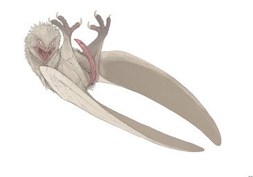 6_eyes animal_genitalia anus biped butt claws cloaca erection feathers feral genitals head_tuft looking_at_viewer lying male multi_eye neck_tuft nude on_back open_mouth penis pink_penis simple_background solo tailbutt teeth three-quarter_view tongue tuft white_background white_body wings zw3 scalie tailless_wyvern 2023 absurd_res digital_media_(artwork) hi_res mixed_media