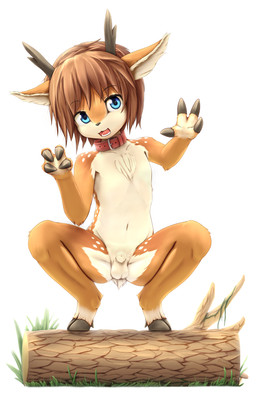 4_fingers animal_genitalia anthro antlers arm_markings balls biped blue_eyes brown_hair casual_nudity collar collar_only crouching eyebrow_through_hair eyebrows fingers front_view fully_sheathed fur fur_markings genitals grass grey_antlers grey_hooves grey_horn grey_nose hair hooved_fingers hooves horn leg_markings log looking_at_viewer male male_anthro markings multicolored_body multicolored_fur navel nude nude_anthro nude_male on_log open_mouth open_smile pink_tongue plant pupils red_collar sheath short_hair short_tail shota shoulder_markings simple_background smile smiling_at_viewer solo spots spotted_body spotted_fur spotted_markings tail tan_body tan_fur teeth tongue translucent translucent_hair white_background white_body white_fur white_inner_ear white_markings white_spots white_tail wood young young_anthro young_male sinelesh deer mammal 2021 full-length_portrait hi_res portrait