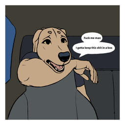 ambiguous_gender anthro border car clothing dialogue fur grey_clothing grey_shirt grey_t-shirt grey_topwear inside_car inside_vehicle profanity shirt simple_background solo speech_bubble t-shirt tan_body tan_fur text topwear vehicle white_border yellow_eyes oystr lily_(oystr) canid canine canis domestic_dog hunting_dog mammal sighthound 1:1 colored english_text hi_res
