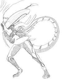 against_surface algreed_(fledgedragonfox) anal anal_penetration anthro bdsm bodily_fluids bondage bound cum cum_inflation cum_inside duo genital_fluids holding_partner inflation light_bondage male male/male penetration fledgedragonfox alien_(franchise) alien human humanoid mammal xenomorph 1:1 unfinished