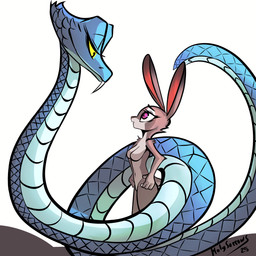 anthro blue_body blue_scales breasts coiling duo fangs featureless_breasts female feral fur grey_body grey_fur male multicolored_body multicolored_scales navel nude nude_anthro nude_female rabbit_ears scales simple_background teeth two_tone_body two_tone_scales white_background yellow_eyes holy-sorrows disney zootopia gary_de'snake judy_hopps european_rabbit lagomorph leporid mammal oryctolagus pit_viper rabbit reptile scalie snake viper 1:1 2025 colored digital_drawing_(artwork) digital_media_(artwork) hi_res