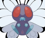 antennae_(anatomy) arthropod big_eyes butterfree cute_fangs digital_media_(artwork) female feral full-length_portrait generation_1_pokemon genitals hi_res honeyu insect insect_wings lepidopteran lepidopteran_wings nintendo nude pink_butterfree pokemon pokemon_(species) portrait purple_body pussy red_eyes simple_background solo spread_legs spreading white_background wings