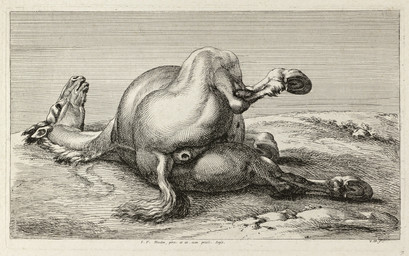 anus blank_stare butt corpse death equine_anus feral hooves lying male muscular muscular_feral nude on_side outside plant puffy_anus rear_view solo spread_legs spreading tail jan_van_huchtenburg public_domain equid equine horse mammal absurd_res ancient_art hi_res
