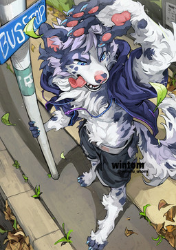 4_toes 5_fingers anthro barefoot blue_body blue_claws blue_fur bottomwear bus_stop claws clothed clothing feet finger_claws fingers fluffy fluffy_tail fur hair high-angle_view hoodie inner_ear_fluff leaf male markings multicolored_body multicolored_fur neck_tuft open_clothing open_hoodie open_mouth open_topwear pawpads pink_pawpads plant raised_arm shorts sidewalk solo spots spotted_markings tail teeth text toe_claws toes tongue tongue_out topwear tuft two_tone_body two_tone_fur white_body white_fur wind windwttom icedust10 canid canine mammal artist_name digital_media_(artwork) hi_res