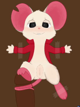 anthro bedroom_eyes bite biting_lip blush body_blush feet female foot_fetish foot_on_penis foot_play fur genitals half-closed_eyes heart_eyes heart_symbol narrowed_eyes penis pink_ears pink_feet pink_nose restrained_arms restrained_feet restraints seductive sex simple_background solo tail tail_around_penis tail_fetish tail_play tail_sex tailjob tan_body tan_fur tape teeth vulva vulva_blush icebirds mina_the_hollower yacht_club_games mina_(mina_the_hollower) mammal murid murine rodent