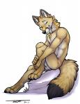 animal_genitalia anthro balls biped brown_body brown_eyes brown_fur claws detached_sheath feet fluffy fluffy_tail fur genitals looking_at_viewer male nude paws pose sheath sitting smile solo tail thick_sheath toe_claws toes tsaiwolf binaryfox canid canine fox mammal swift_fox true_fox 2017 hi_res pinup