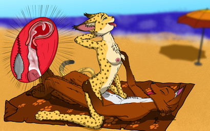 5_fingers anal anal_masturbation anal_penetration anthro beach_towel beach_umbrella blurred_background bodily_fluids breast_play breast_squish breasts buttplug buttplug_in_ass buttplug_insertion cervix chest_tuft cowgirl_position cum cum_in_uterus cum_in_vagina cum_inside dipstick_ears dipstick_tail double_penetration drooling duo ear_markings eyes_closed female female_penetrated fingers from_front_position fur fur_markings genital_fluids genitals gloves_(marking) green_eyes half-closed_eyes hand_behind_own_head hand_on_breast hand_on_butt inner_ear_fluff internal internal_anal internal_vaginal knot knotted_penis knotting leg_markings lying male male/female male_penetrating male_penetrating_female markings masturbation multicolored_ears narrowed_eyes nipples object_in_ass on_back on_bottom on_top parasol penetration penile penile_penetration penis penis_in_vagina pink_nipples plug_(sex_toy) plug_insertion saliva sex sex_on_the_beach sex_toy sex_toy_in_ass sex_toy_insertion shoreline socks_(marking) spots spotted_body squish tail tail_markings tears tears_of_pleasure tongue tongue_out towel tuft uterus vaginal vaginal_penetration x-ray_view zk-fur mariposa_(zk-fur) canid canine felid fox leopard mammal pantherine red_fox true_fox 16:10 hi_res shaded widescreen