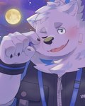 anthro belly blue_eyes blush clothing full_moon jewelry looking_at_viewer male moon necklace night overweight overweight_male romantic romantic_ambiance solo tired topwear vest wristband zipper amidasuke lifewonders live_a_hero yohack canid canine canis domestic_dog mammal nordic_sled_dog samoyed spitz hi_res