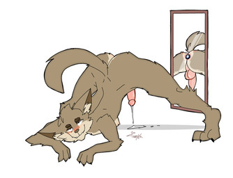 anal anal_penetration anthro ass_up balls bent_over blush bodily_fluids body_blush butt butt_blush buttplug buttplug_in_ass buttplug_insertion chest_tuft cum cum_drip cumshot dripping ejaculation gem genital_fluids genitals jack-o'_pose jewel_buttplug male mirror nude object_in_ass penetration penis plug_(sex_toy) plug_insertion pose presenting raised_tail sex sex_toy sex_toy_in_ass sex_toy_insertion solo spread_butt spread_legs spreading tail tuft conditional_dnp taoreta canid canine canis coyote mammal absurd_res hi_res