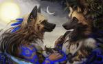 anthro blue_eyes cloud duo ear_piercing eye_contact female fur hair jewelry looking_at_another love male moon necklace outside piercing romantic romantic_ambiance romantic_couple sky smile star sun simul african_wild_dog canid canine hyena mammal spotted_hyena 2014