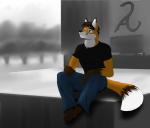 anthro biped clothed clothing fur hair male outside sitting smile solo neosavias canid canine fox mammal