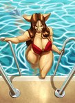 5_fingers amber_eyes anthro big_breasts bikini breasts brown_body brown_fur brown_hair cameo cleavage climbing_ladder clothed clothing duo female female_focus fingers fully_submerged fur hair long_hair looking_at_viewer male mostly_submerged poolside red_bikini red_clothing red_swimwear seductive shark_fin solo_focus swimwear thick_thighs two-piece_swimsuit water wet toughset elle_(ooo-belise-ooo) toughset_(character) armadillo domestic_cat felid feline felis mammal xenarthran 2023 hi_res