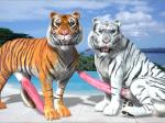 3d all_fours animal_genitalia balls beach big_balls big_penis erection feline feral fur hyper looking_at_viewer male mammal orange_fur penis presenting seaside tapiko tiger white_fur white_tiger
Rating: Explicit
Score: -9
User: DSTakumiDerp
Date: March 03, 2014