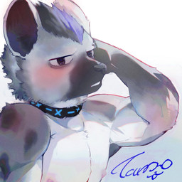 anthro areola athletic athletic_anthro athletic_male black_hair blue_hair blush collar collar_only eyebrow_piercing facial_piercing fur grey_body grey_fur hair looking_at_viewer male markings nipples nude piercing solo spots spotted_body tandong820 arknights hypergryph studio_montagne spot_(arknights) hyena mammal spotted_hyena 2026 hi_res