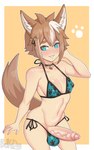 balls big_penis bikini blush clothing erection femboy foreskin genitals male penis solo swimwear two-piece_swimsuit cuccokingu genshin_impact mihoyo gorou_(genshin_impact) animal_humanoid canid canid_humanoid canine canine_humanoid humanoid mammal mammal_humanoid